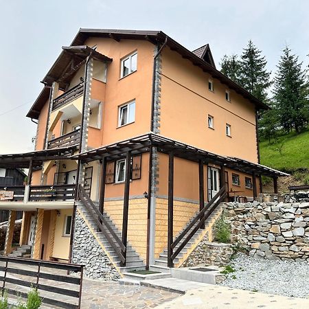 Hotel Pensiunea 3Flori De Colt Statiunea Zewnętrze zdjęcie